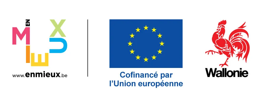 logo-ue-wallonie-enmieux